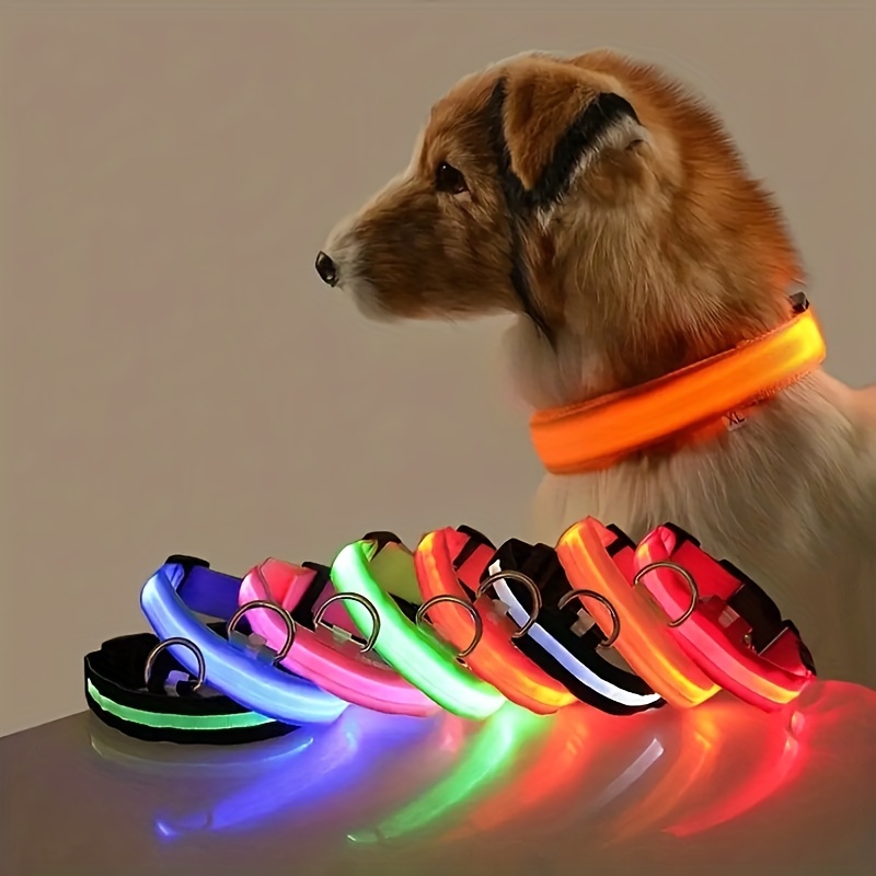 Collar De Luz LED De Seguridad Para Perros Pequeños Y Medianos, Collar De  Brillo Intermitente Ajustable Para Caminar De Noche