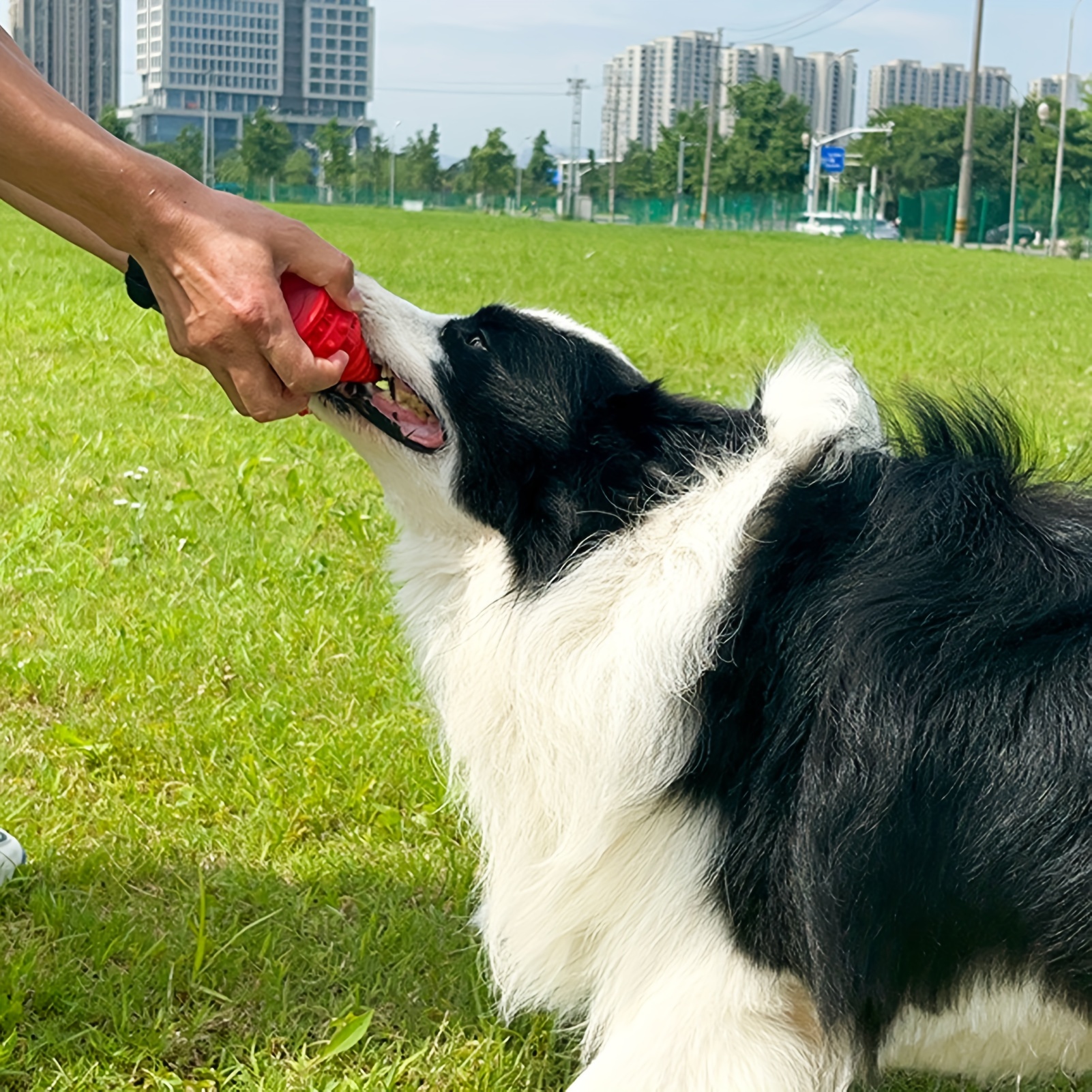 Husky - Juguete para perro que camina y ladra con correa de control, robot  realista que mueve la cola, robot interactivo musical de baile, animado