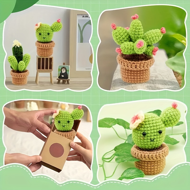 Complete Crochet Set For Beginners, DIY Potted Cactus Crochet Set