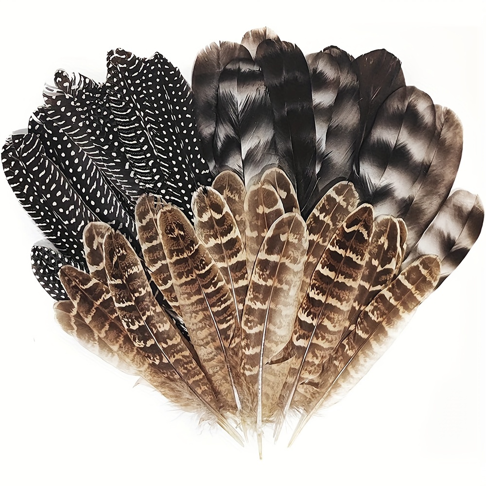 50 pcs Natural Pheasant Plumage Feathers 2-3 Inches Plumage Feathers for  Sewing Crafts Clothing Decorating Accessories -Blue