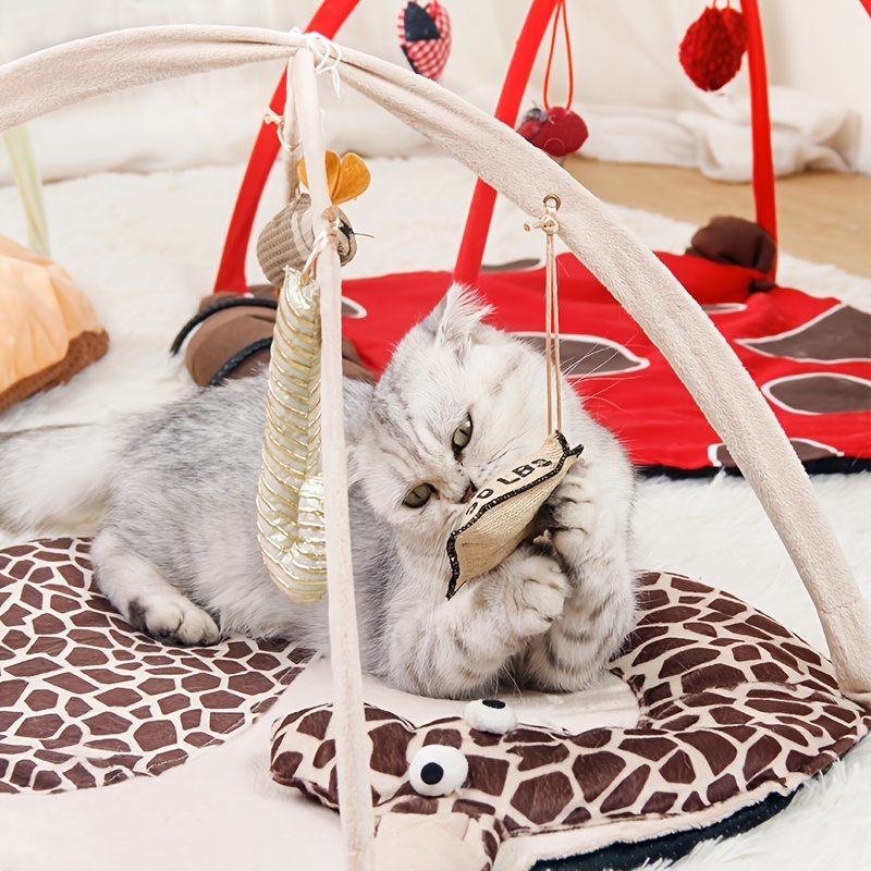 pet cat playing bed kitten exercise tent cat nest puppy training bed pet cat supplies cat teaser toy details 4