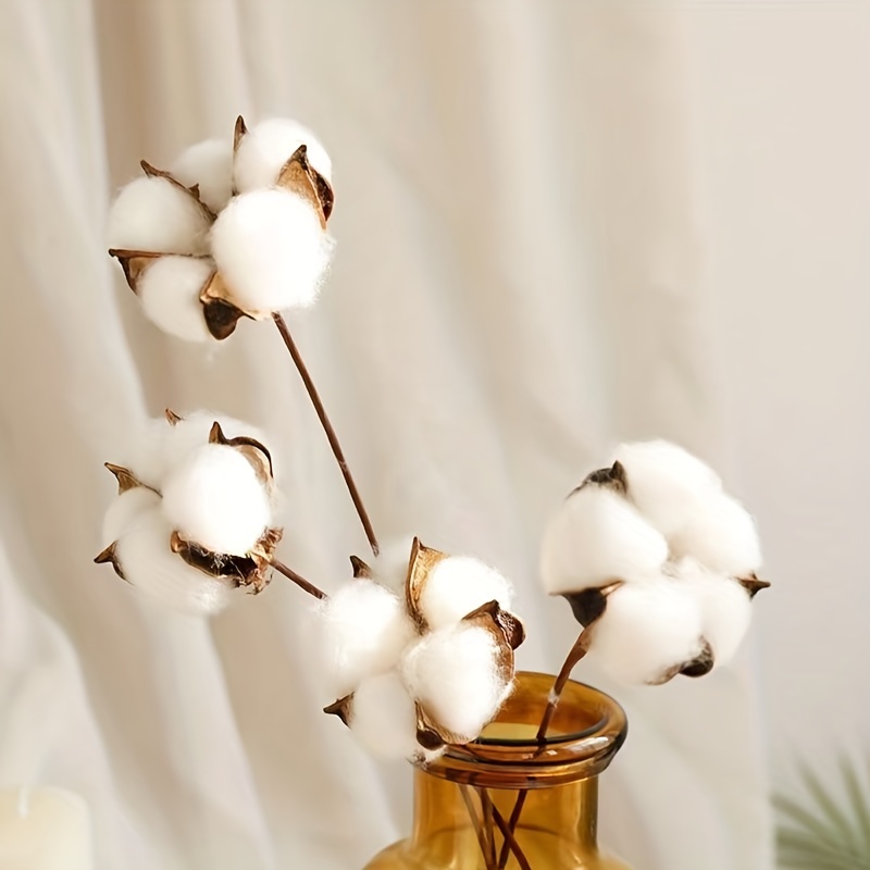Cotton Branches - 100% Natural - Dried Flowers Forever - DIY