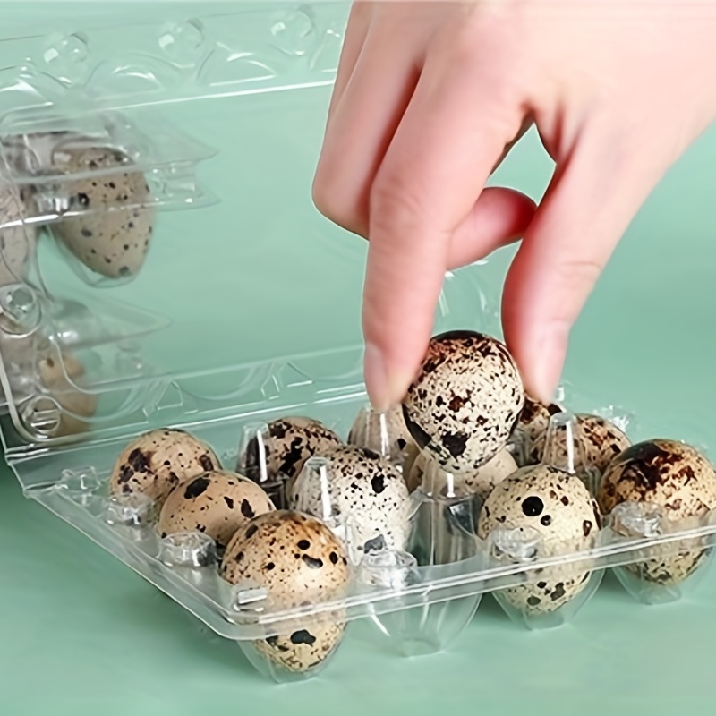 12pcs Quail Egg Packaging Box PET Plastic Holder