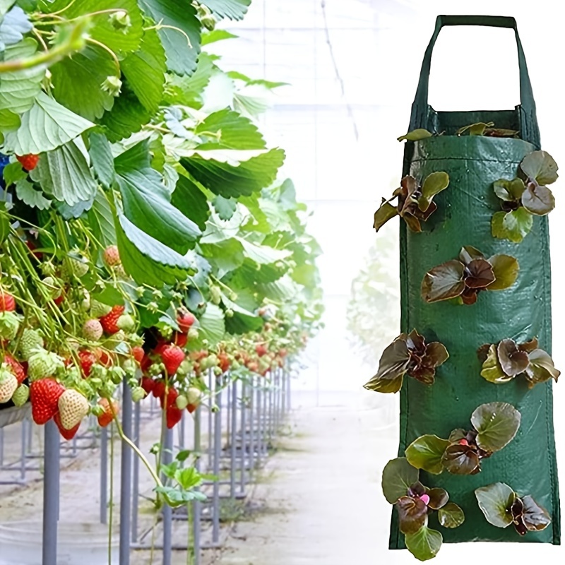 Vertical Grow Bag for Strawberries and Vegetables