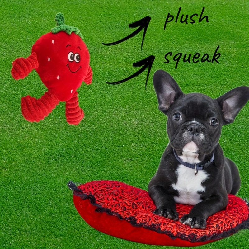 Strawberry Interactive Dog Chew Toy