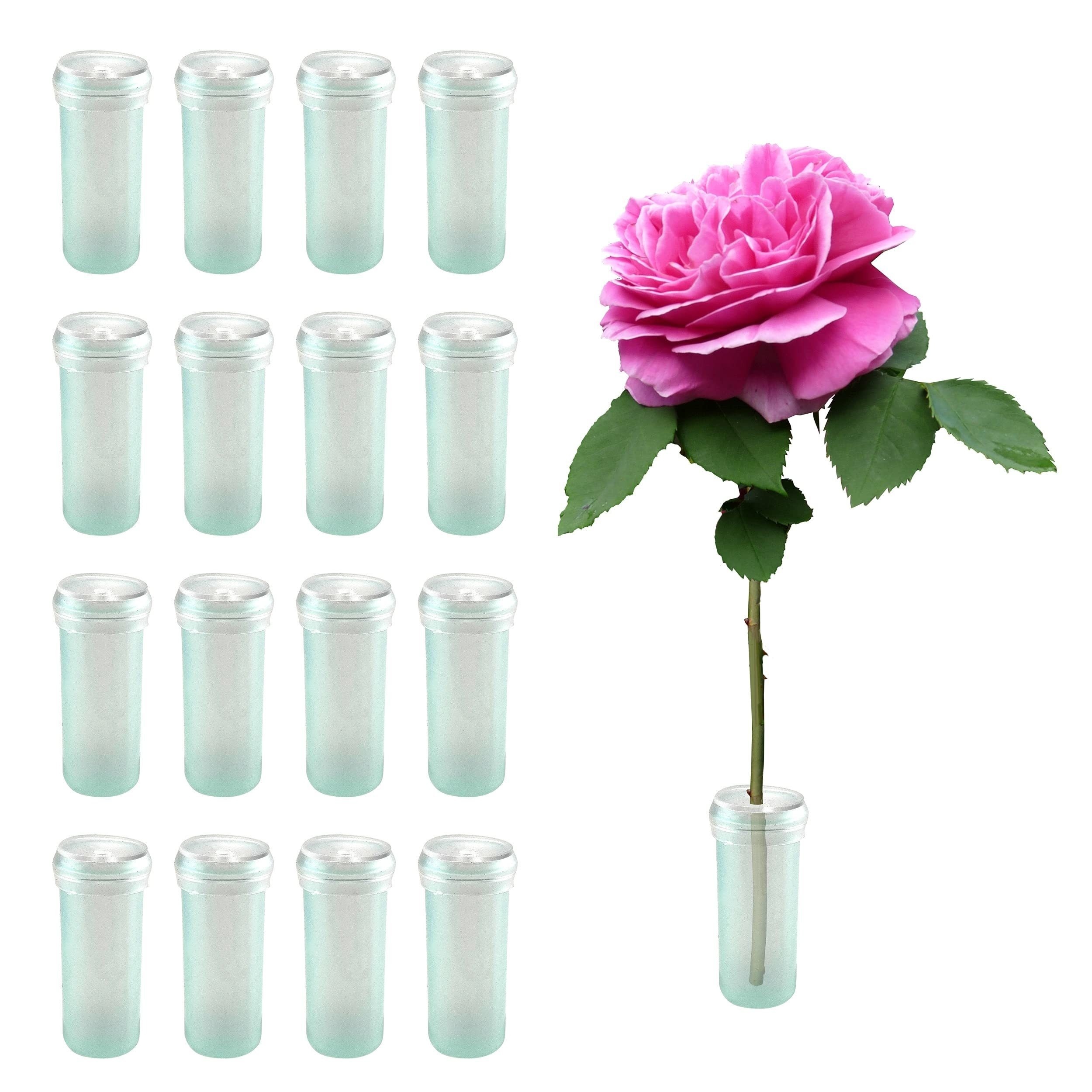 Stem Water Tubes For Flowers, Clear Vials For Floral Arrangements, Florist  Supplies - Temu Czech Republic
