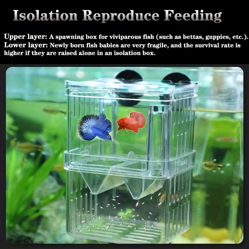 Aquarium Incubator Net Fish Shrimp Isolation Box Small Fish - Temu Canada