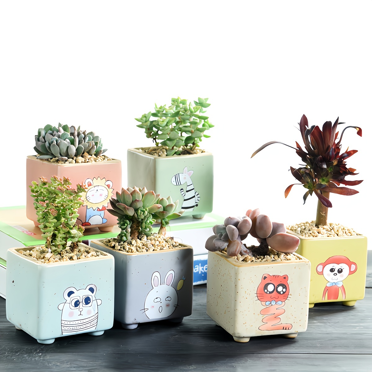 1pc, Piccoli Vasi Succulenti Con Drenaggio, Vasi Per Piante Da Interno,  Piccoli Vasi Da Fiori Per Cactus/bonsai Carini Per La Decorazione Domestica  E La Decorazione Della Scrivania, Adatto Come Regalo, Vasi Creativi