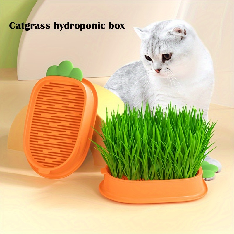1 Pièce Cat Grass Planter Kit De Croissance De L'herbe À Chat Réutilisable  Pot D'herbe À Chat Sans Graines, Mode en ligne