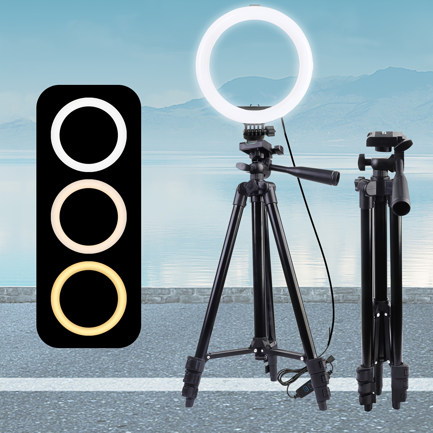 Sensyne Anillo de luz de 12 pulgadas con soporte para trípode, luz LED para  selfie con soporte y soporte para teléfono para