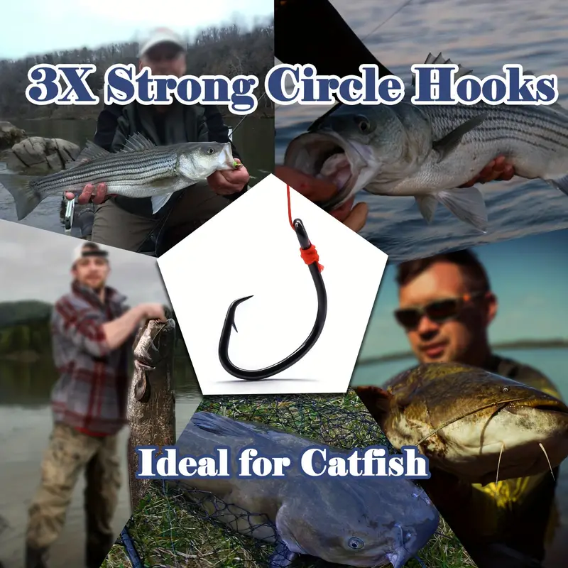9KM Circle Hooks 25~50Pcs Saltwater Fishing Hooks Offset 3X Strong Wide Gap  Live Bait Catfish Fishing Eagle Claw Circle Hooks - AliExpress