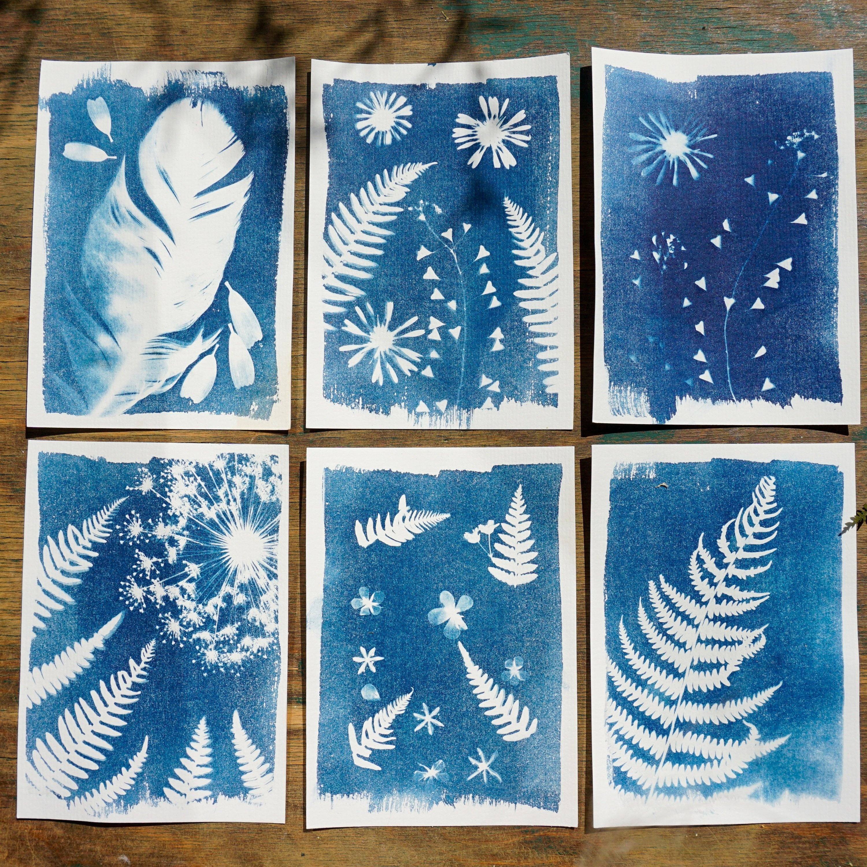 Cyanotype Postcard Kit Sun Paper Craft