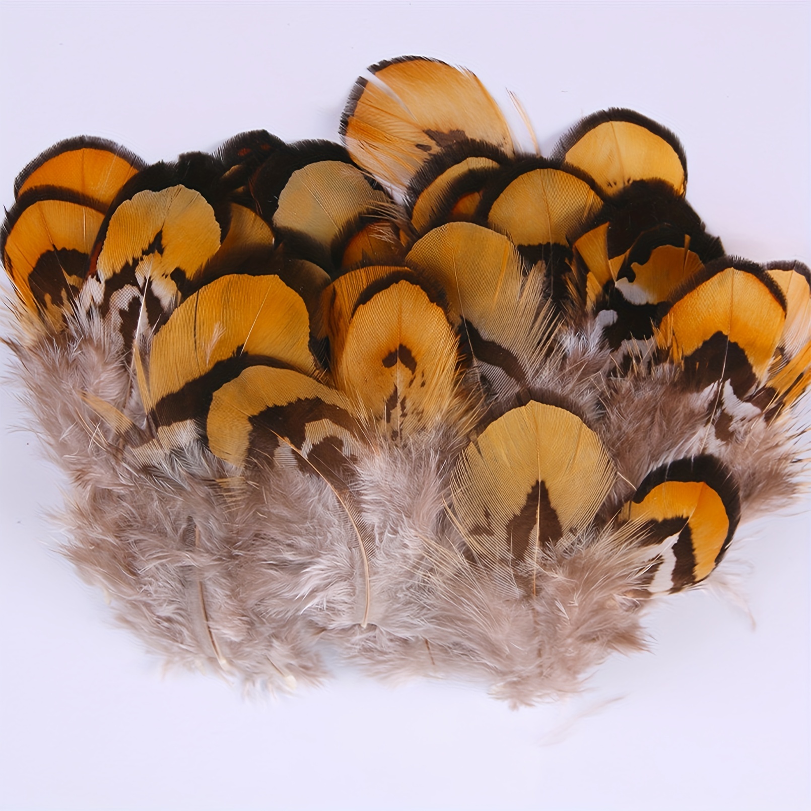 Natural Pheasant Peacock Feathers for Crafts Making Jewelry Costume  Decoration