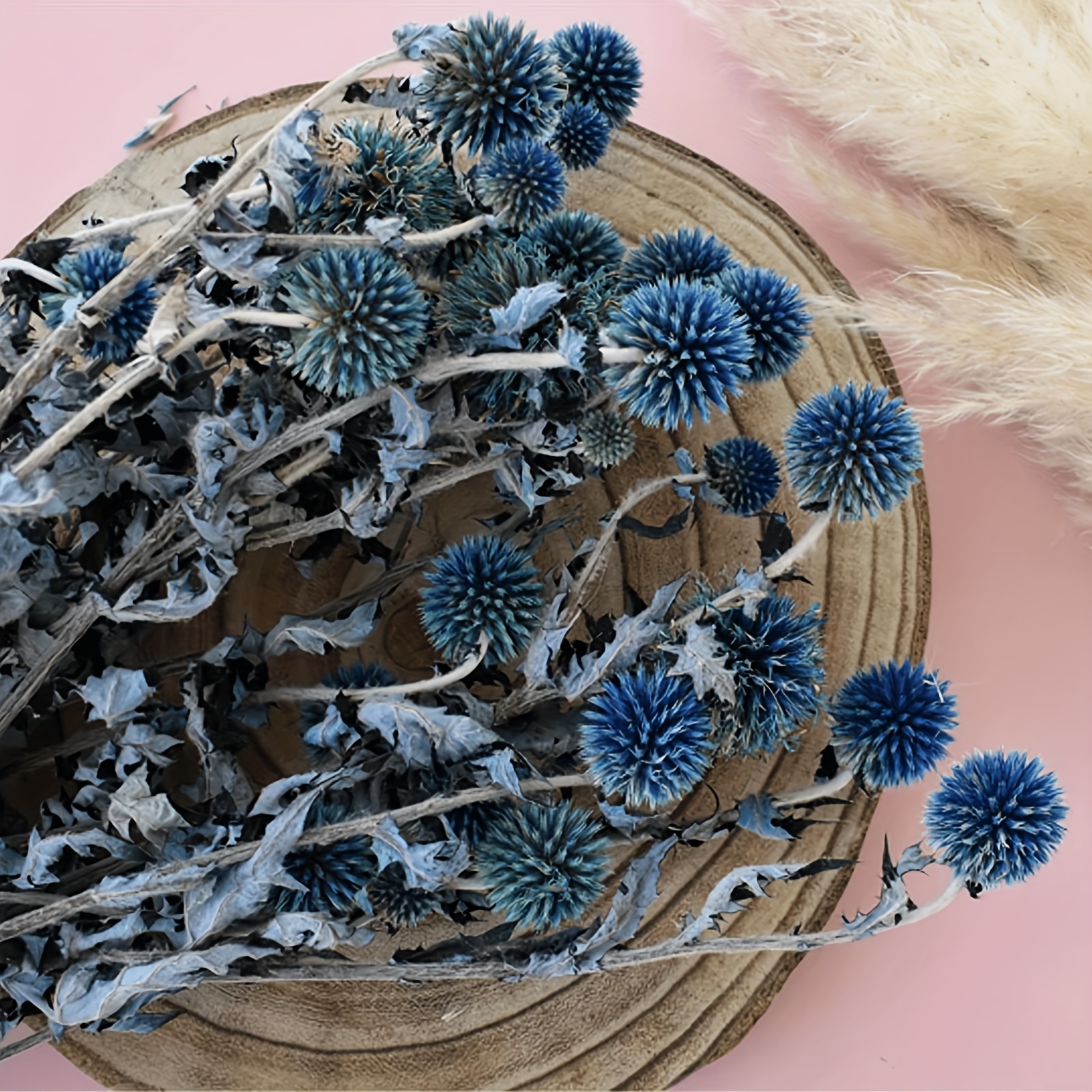 Dried Flower Blue Thistle & Billy Balls Bouquet