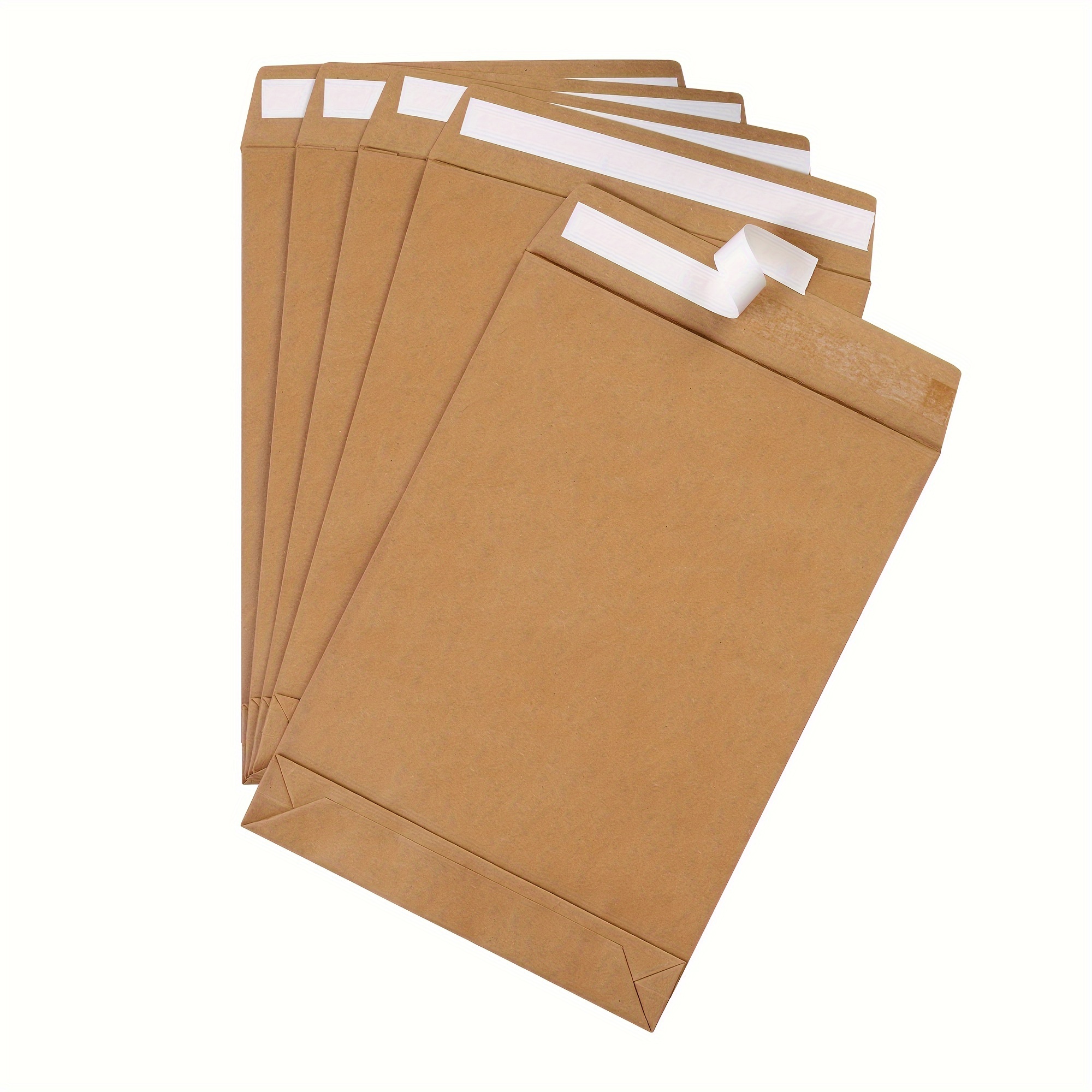 Large Format/Catalog Envelopes