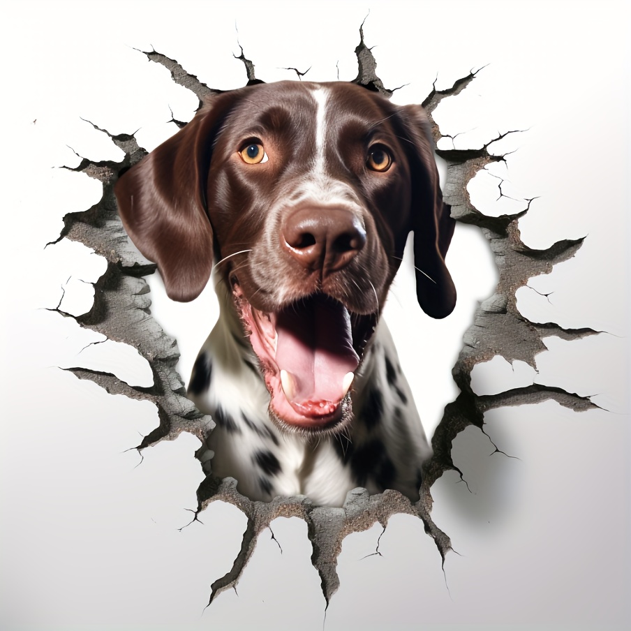 German shorthaired hot sale pointer items