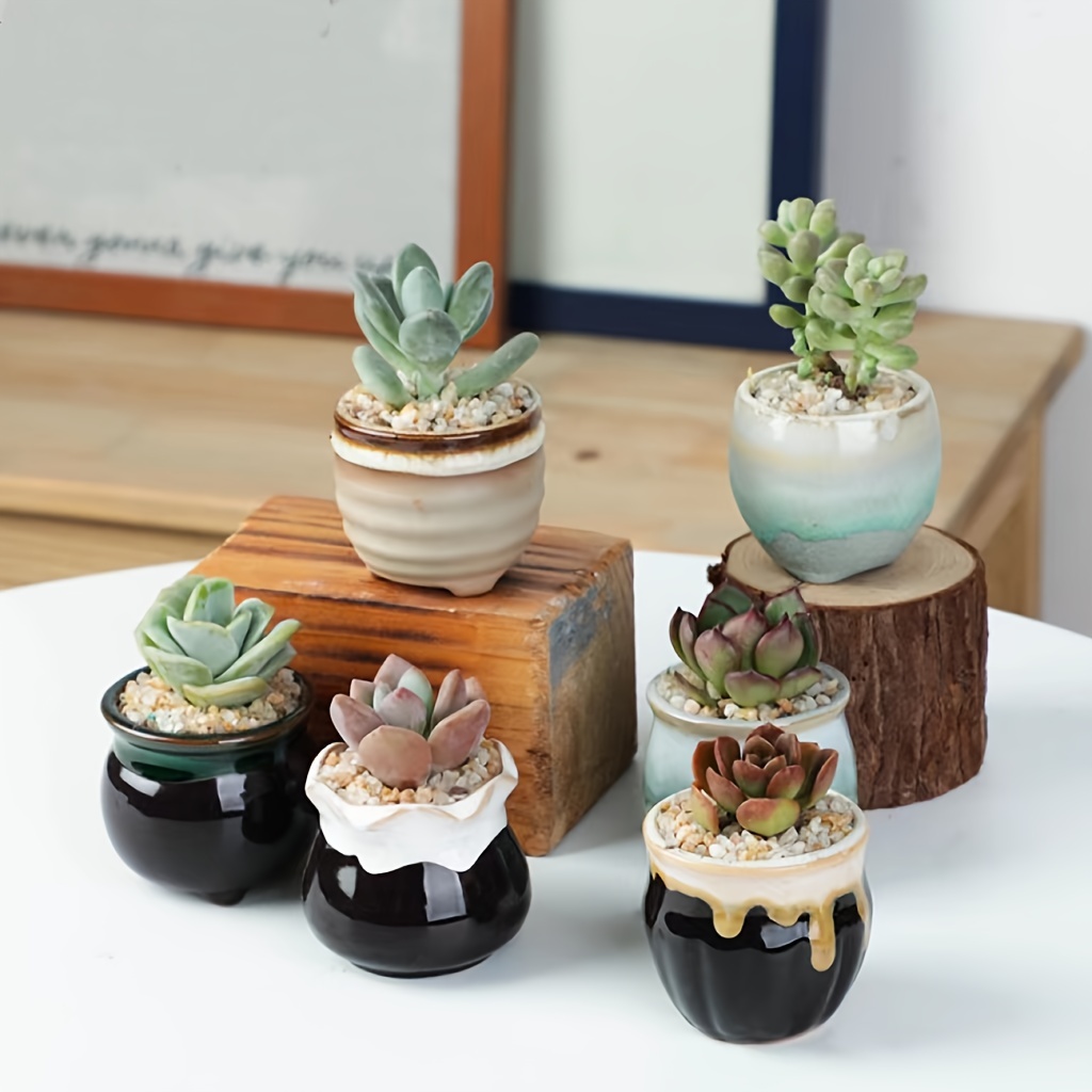 Port&Petal Small Succulent Pots with Drainage (Set of 3) - Ceramic Planters  for Live Plants, Air Plants or Fake Plants Decor - Cute Planters for