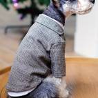 1pc plaid print pet suit jacket for dog and cat for wedding formal clothes