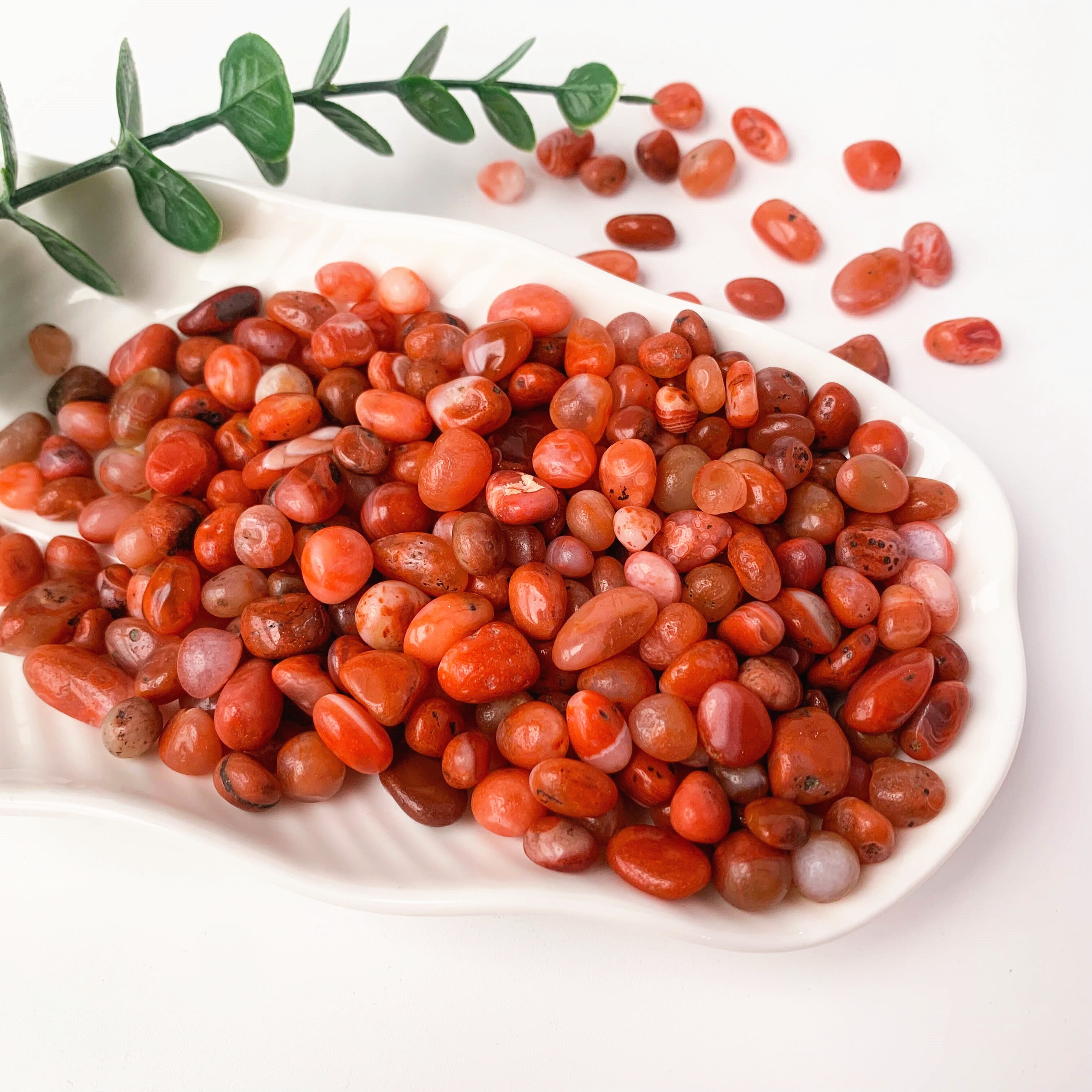 1oz 4oz natural crystal chips for fishing tank filler jewelry making wishing bottle 1oz clear quartz 19