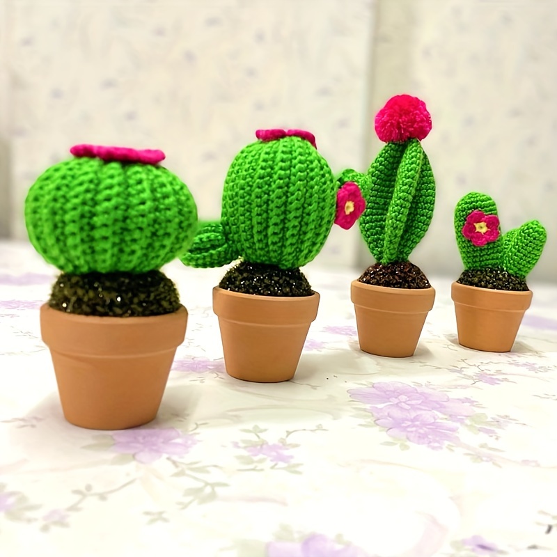 Cactus de noel - Marguerite Fleuriste