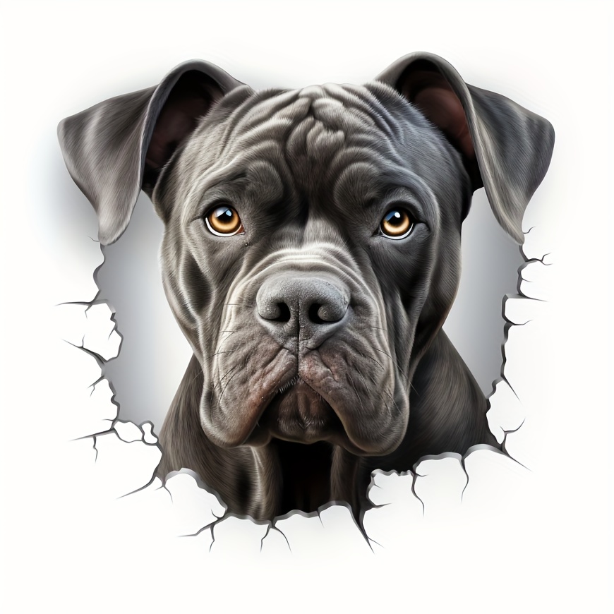 Cane store corso gifts