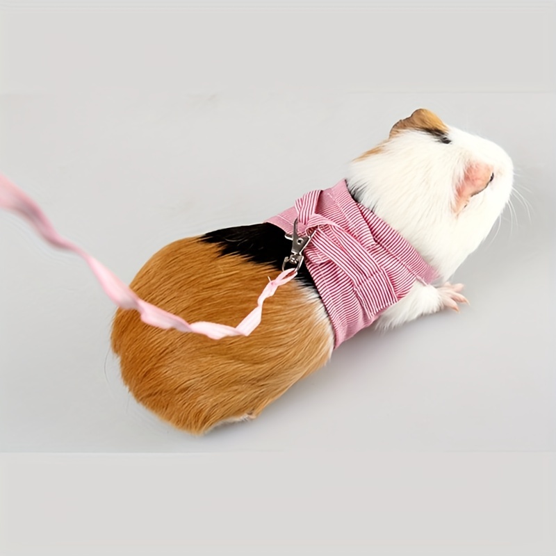 Leashes for guinea outlet pigs