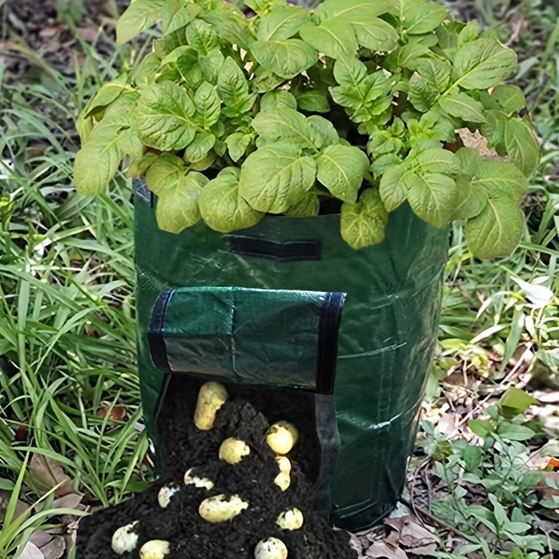 Potato Grow Bags 10 Gallon Thick Pe Fabric Pots For - Temu