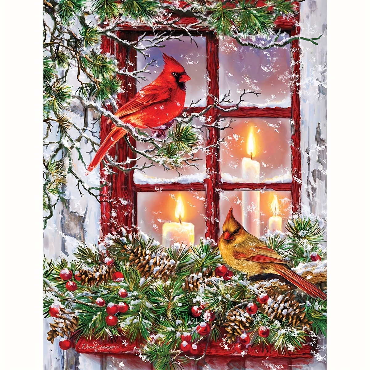 IY Diamond Painting Kits for Adults Cardinal Love Birds 5D Diamond