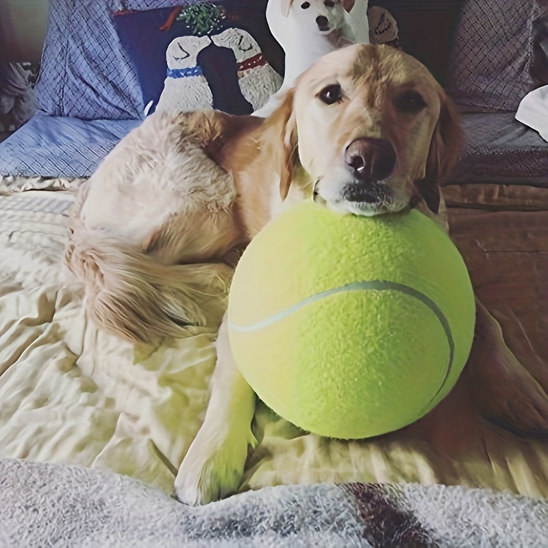 Balle Tennis Gonflable Grande Taille Jouet À Mâcher Chien - Temu