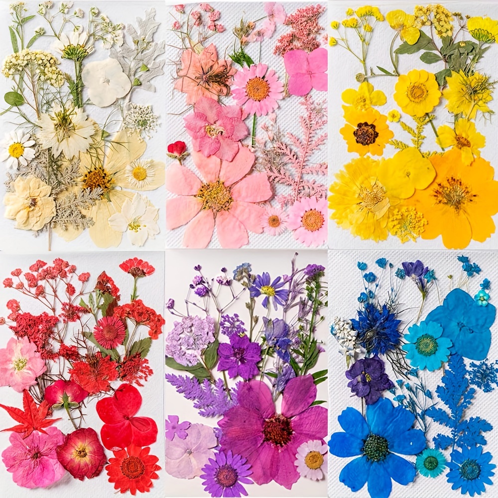 6pcs Mini Dried Flowers For Crafts, Dried Flowers With Stems For Crafts  Bulk, Wildflower Party Decor For DIY Photo Props Gift