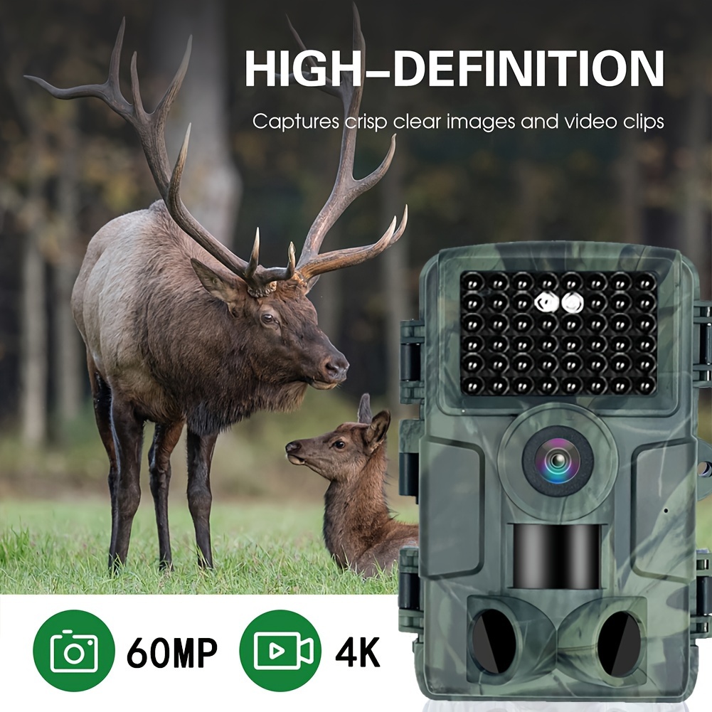 Night vision best sale animal camera