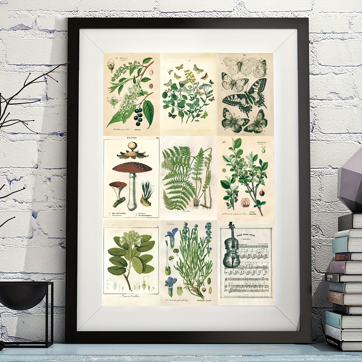 Set Di Cartoline in Stile Vintage, 30 Pz/Scatola Antica Foresta Animali  Plants Specimen Postcard Stile Vintage Scrittura Saluto Regalo Cartoline  Regalo : : Cancelleria e prodotti per ufficio