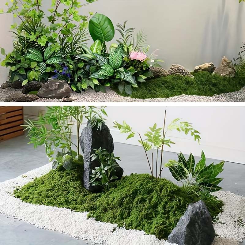 Micro Landscape Gardening Moss Landscaping Diy Handmade - Temu Canada