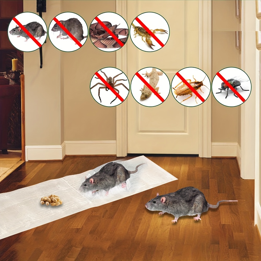 The 6 Best Mouse Traps of 2023