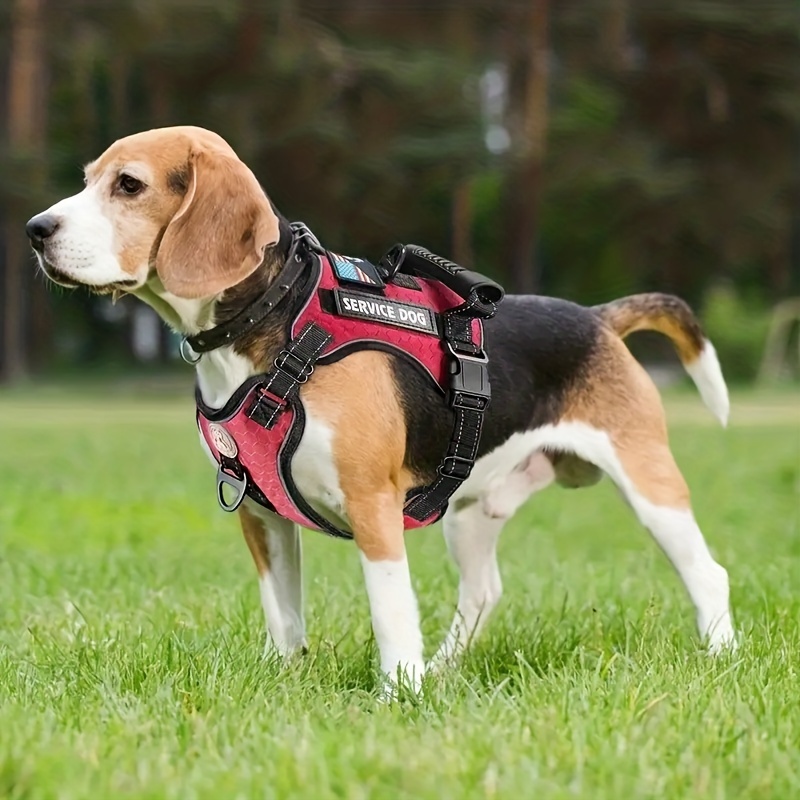 Beagle proof harness best sale