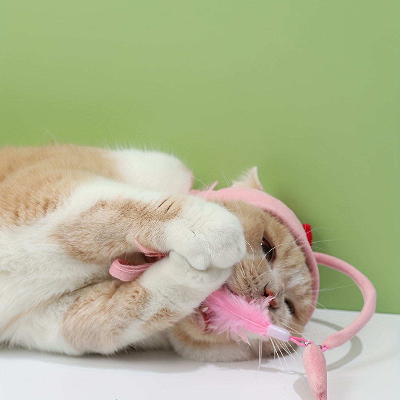 Divertente cappello da gatto giocattolo interattivo giocattolo per gatto  gattino giocattolo cappello a forma di pesce giocattolo per gatti accessori  p