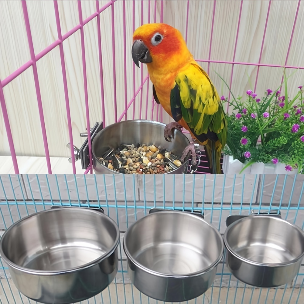 2 Pcs Oiseau Cage Mangeoire Perroquet Perruches Nourrir Plat Tasses Oiseaux  Distributeur d'eau Bols De Nourriture Suspendus Cage À Oiseaux Tasses