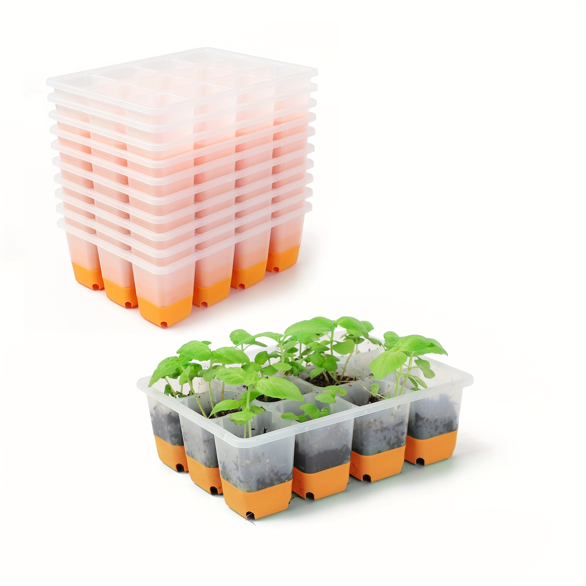 Bandeja de inicio de semillas con base de tapa, 2 paquetes de 12 celdas  reutilizables, bandejas de inicio de semillas para plantas de semillero,  placa