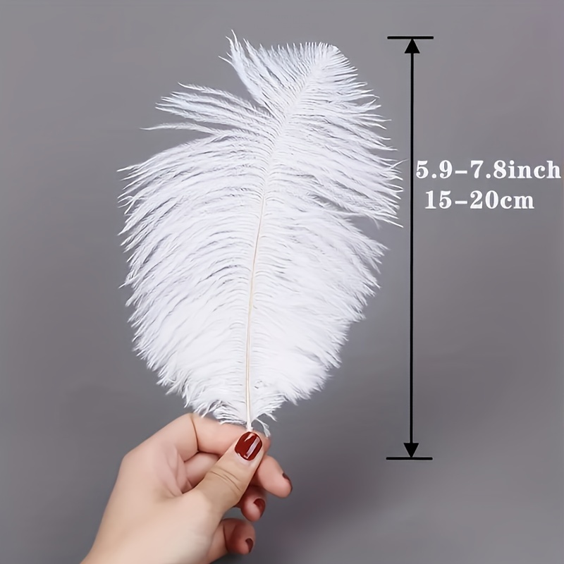 50pcs Ostrich Feathers For Decorations