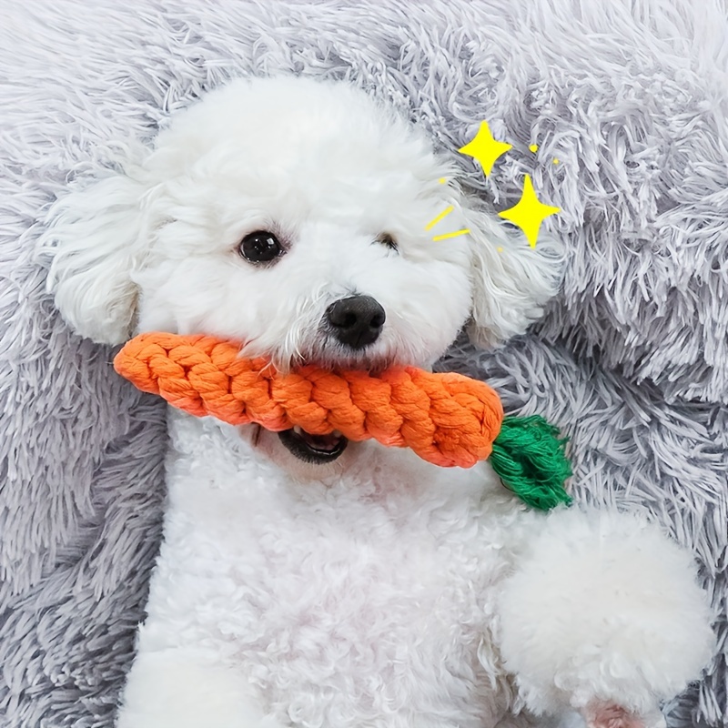 Chew Rope Dog Toy - Carrot