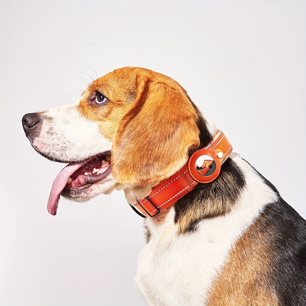 Étui de protection Anti-perte pour chien, localisateur intelligent