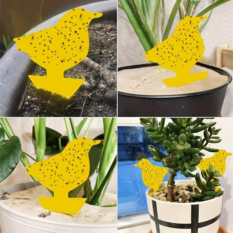 Double-sided Yellow Board Sticky Insect Board, Balcony Planting