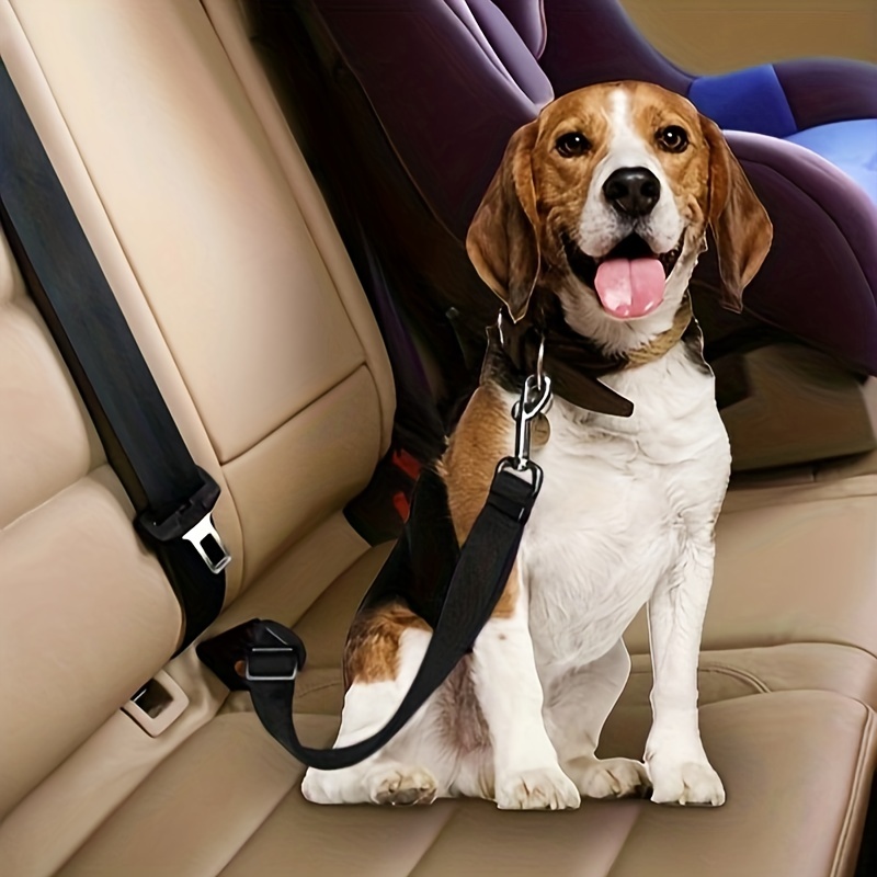 Ceinture de siège de voiture réglable pour animaux domestiques, harnais pour  chien et chat, laisse en plomb pour petits et moyens chiens, Clip de  voyage, fournitures d'extérieur pour animaux de compagnie 