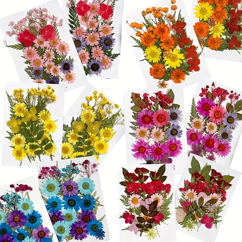 Natural Dried Pressed Flowers Leaves Petals 3 Colors Foil - Temu