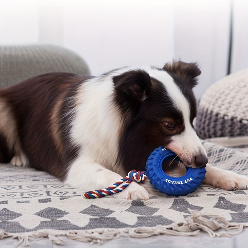 Dog Toys, Chew Toys for Aggressive Chewers,Dog Rope with Blue