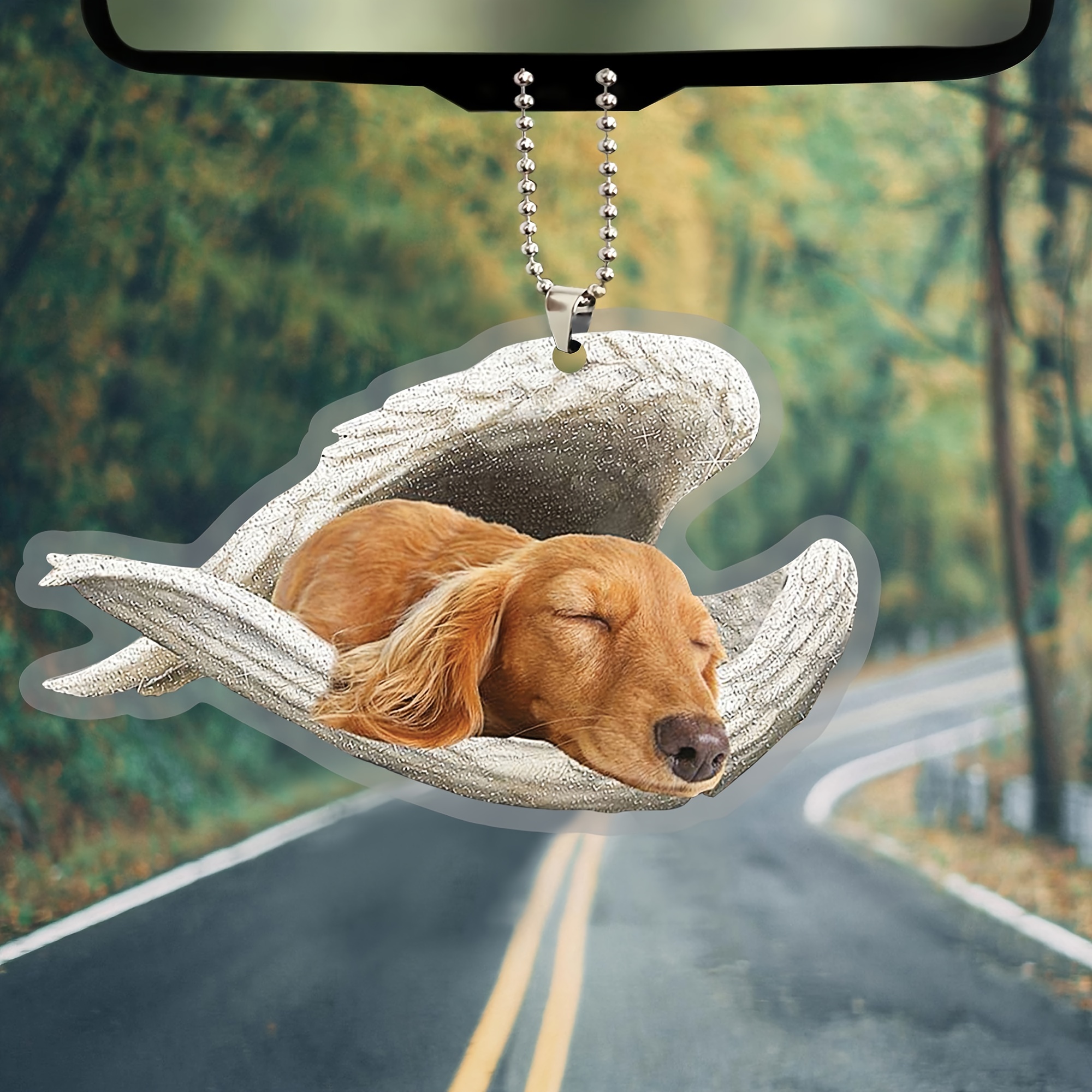 Dachshund home outlet accessories