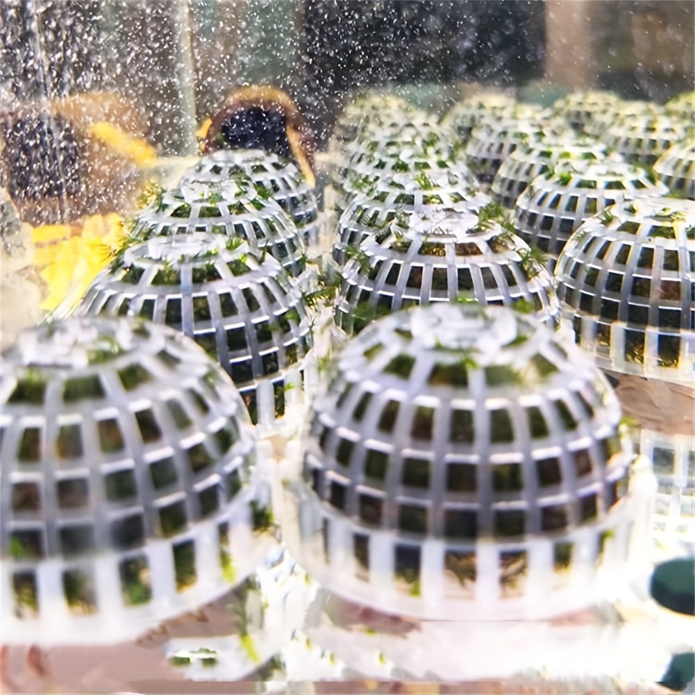1pc Aquarium Moss Ball Holder, Aquarium Moss Ball Live Plants Shaping  Filter, Great Decor Ornaments For Aquarium Betta Fish Tank