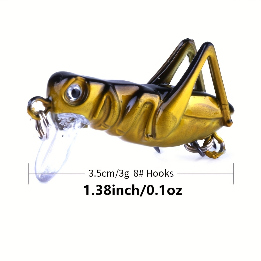 5pcs Artificial Locust Grasshopper Insect Fishing Lures and Minnow Baits  with Tackle Box : : Sports, Fitness & Outdoors