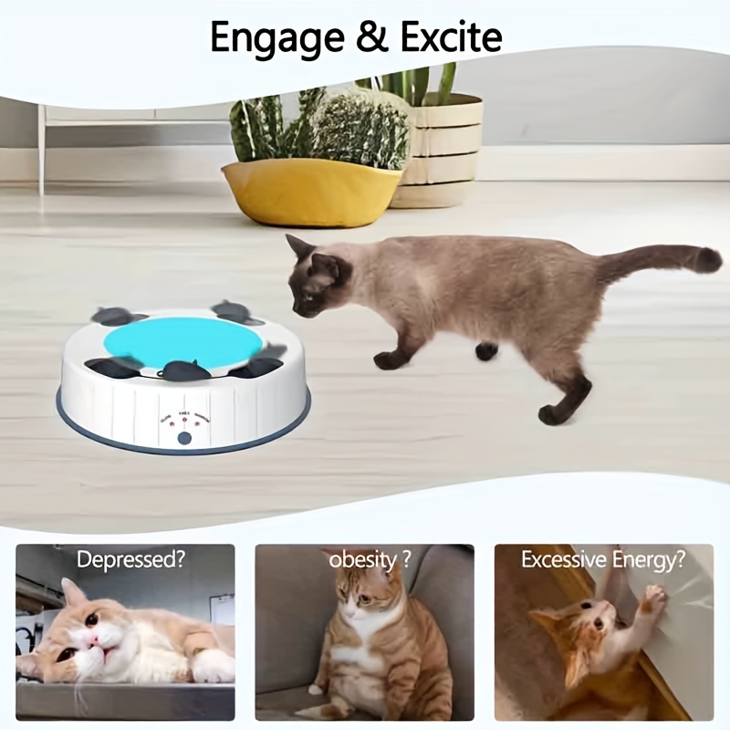 Cat Play Activity Mat Cat Gaming Mat For Indoor Cats - Temu