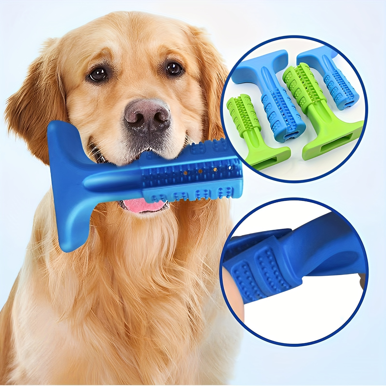 Dog shop bites toothbrush